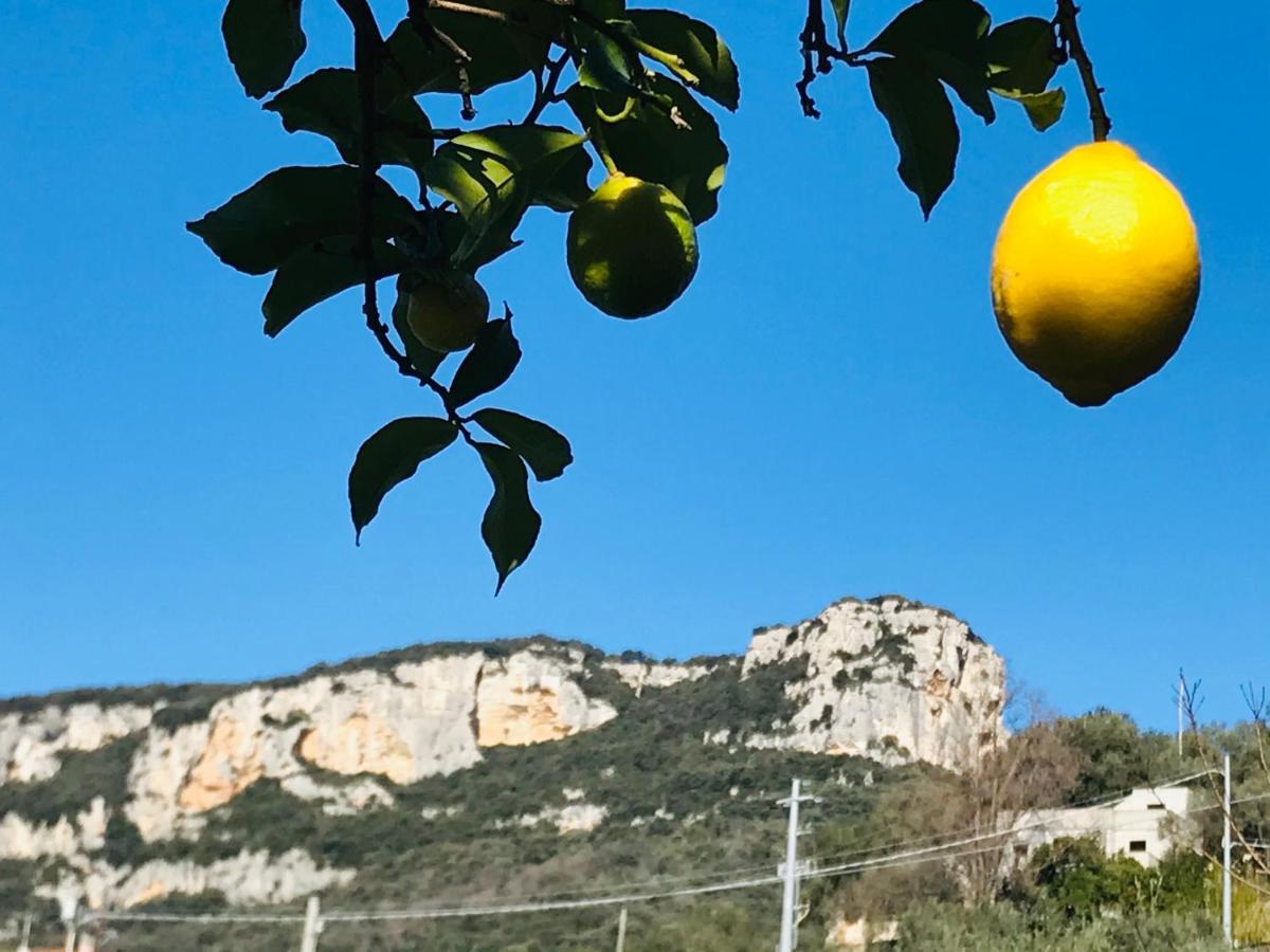 Rocca Di Corno Guest House ฟีนาเลลีกูเร ภายนอก รูปภาพ