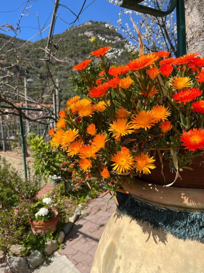 Rocca Di Corno Guest House ฟีนาเลลีกูเร ภายนอก รูปภาพ